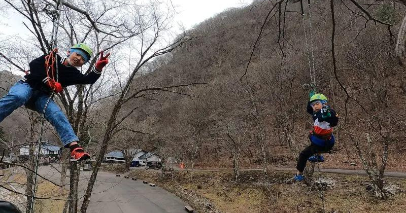 Tree climbing experience in Iwate