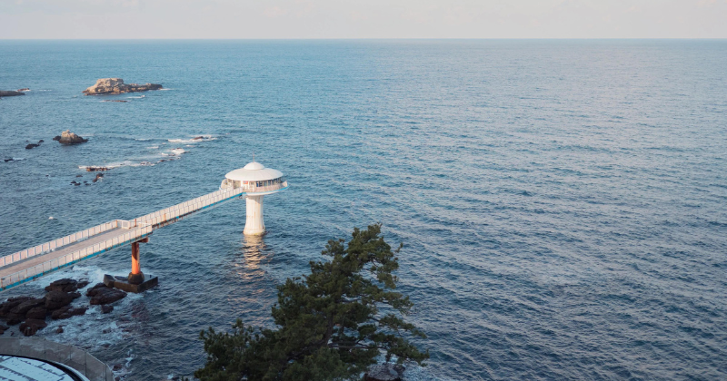 Undersea Observatories_ A Peek into the Marine Wonderland