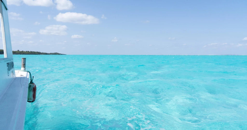 Yoron Island Ferry Adventures