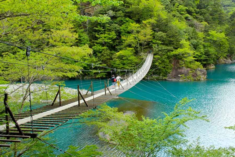 shizuoka travel itinerary