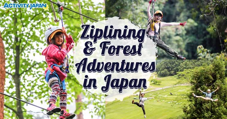 Ziplining and Thrilling Forest Adventures in Japan