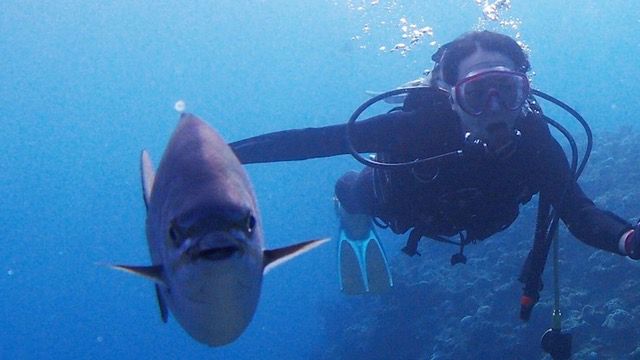 【오키나와・온나손】약 50분 즐길 수 있는 환상적인 바다의 세계! 「푸른 동굴」에서 체험 다이빙