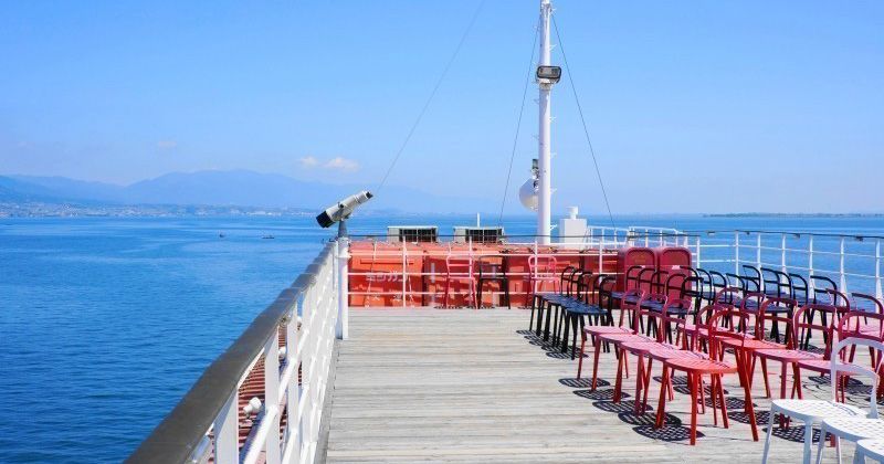 琵琶 81nb8Ia7Z+L._UF350,350_QL50_.jpg