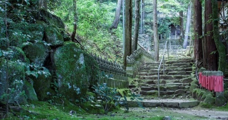 《 เวอร์ชั่นล่าสุด 2019》 นารา / อิโกมะแนะนำสถานที่ท่องเที่ยว / อันดับสถานที่พักผ่อนที่ดีที่สุด10