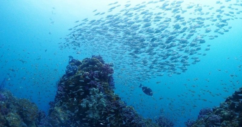 《 2018 ล่าสุด》 จังหวัดชิซูโอกะ Atami แหล่งท่องเที่ยวแนะนำอันดับร้านอาหาร / พักผ่อนที่ดีที่สุด10