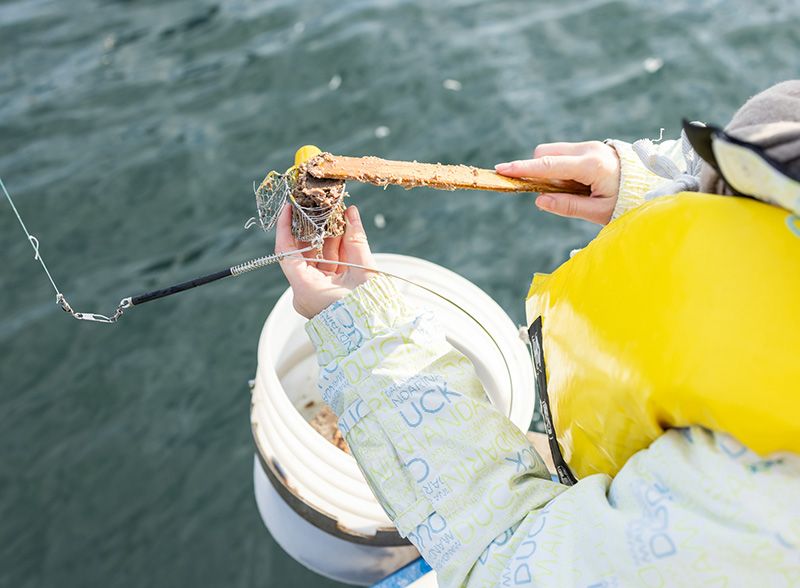 竹荚鱼最佳钓法、最强装置&竹荚鱼渔船体验游人气排名