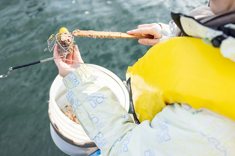 Horse mackerel fishing season and time zone │ Thorough introduction of places nationwide where you can catch horse mackerel now, such as Kanto and Tokyo Bay!