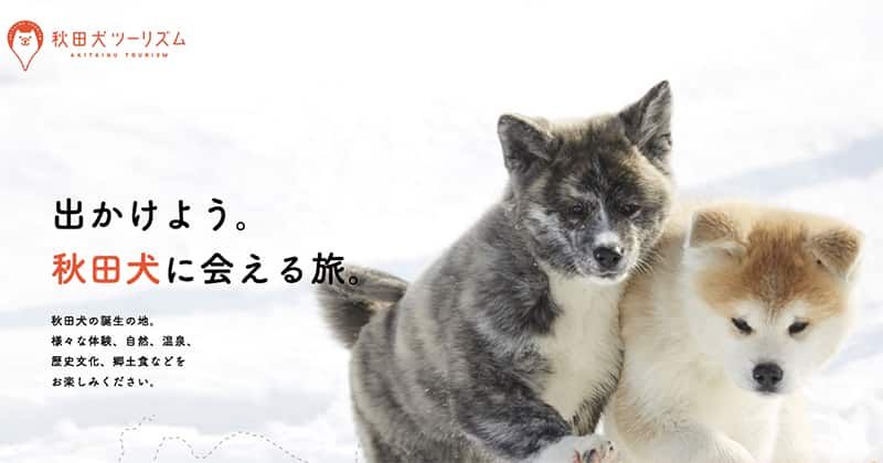 【秋田犬旅游】体验秋田、自然、温泉、历史文化、当地美食等，一起出去吧。一次可以见到秋田犬的旅行。的图像