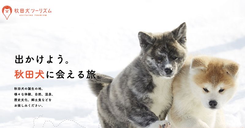 【秋田犬ツーリズム】秋田を感じる体験・自然・温泉・歴史文化・郷土食etc…出掛けよう。秋田犬に出会える旅。