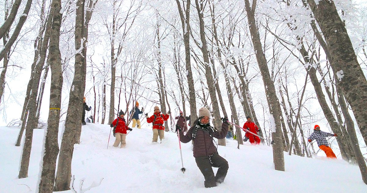 Snowshoe Hyogo