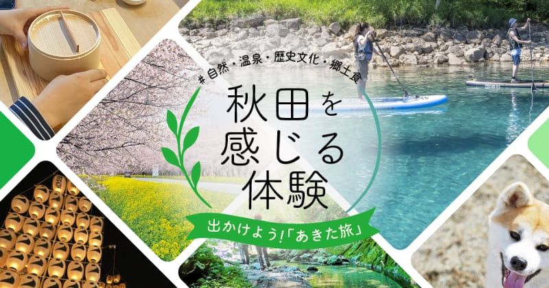 體驗秋田 | 在大自然中玩耍，體驗秋田的綠色季節