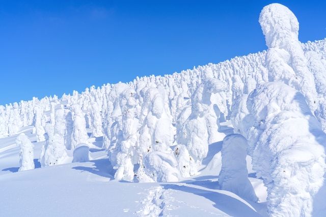 Akita, Winter, Mt. Moriyoshi, Ani Ski Resort, Ice-covered Trees