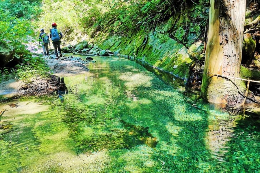 秋田グリーンシーズンスライダー画像05