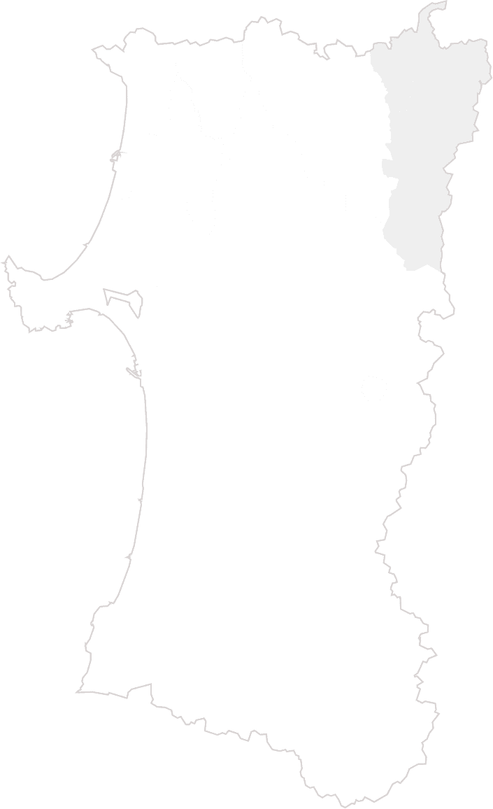 エリアマップ画像