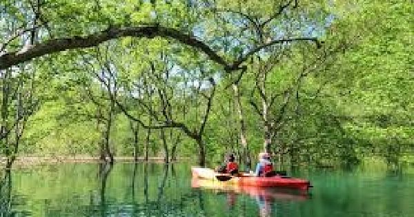 【仙北市】田沢湖水没林カヤックツアー
