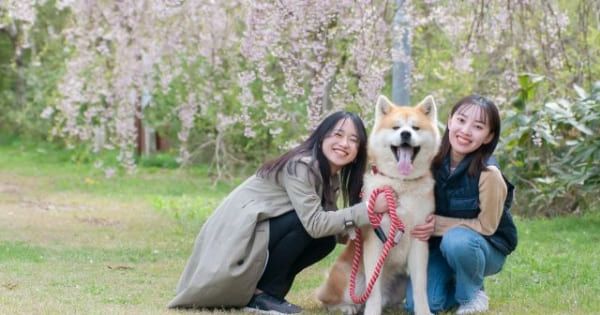 【三種町】秋田犬散歩