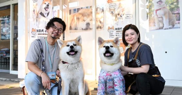 【大館市】秋田犬カフェ