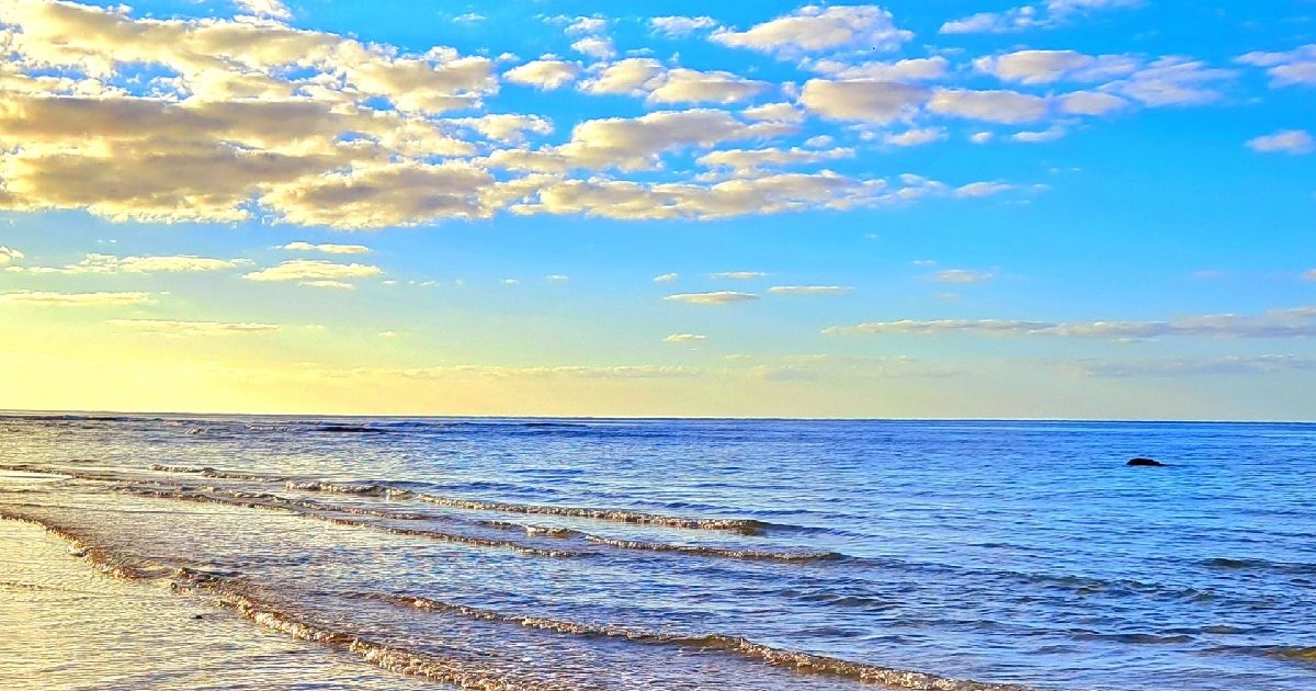 奄美大島観光・旅行のベストシーズンはいつ？人気アクティビティと季節別おすすめポイントを紹介