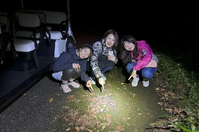 A night tour run by the Kagoshima company "Amami Buggy & Night Watching Guide Service"
