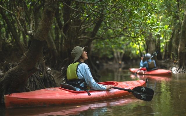 Kagoshima, Amami Oshima "EVERGREEN Amami" Mangrove Canoe Tour
