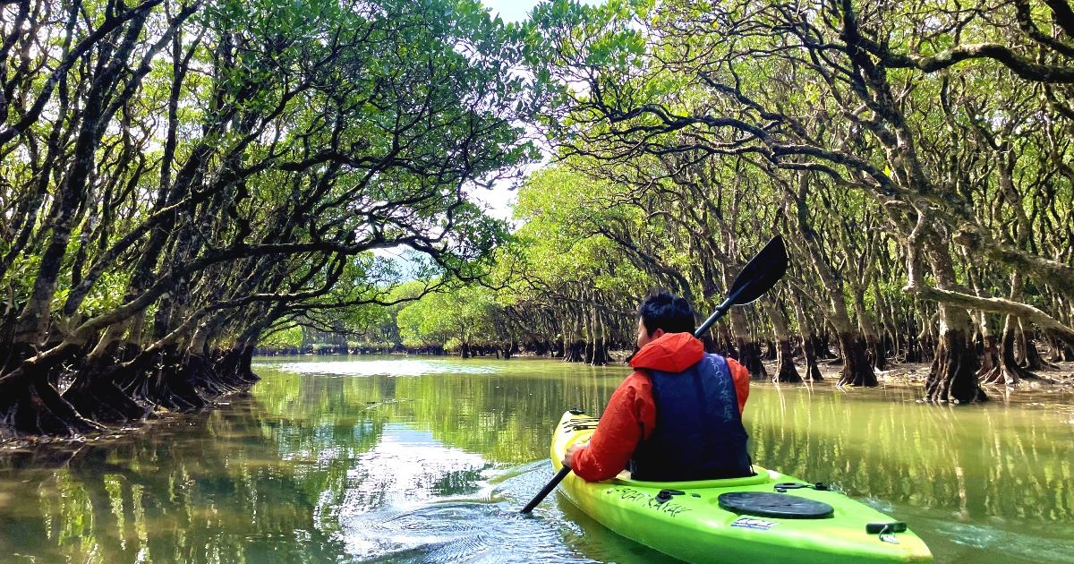 奄美大島カヌー・カヤック完全ガイド｜服装・料金・時期・おすすめプラン徹底解説