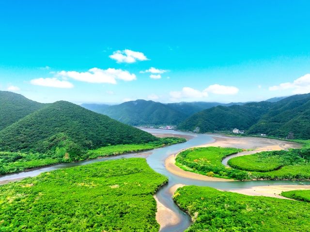奄美大島 観光スポット おすすめ 黒潮の森