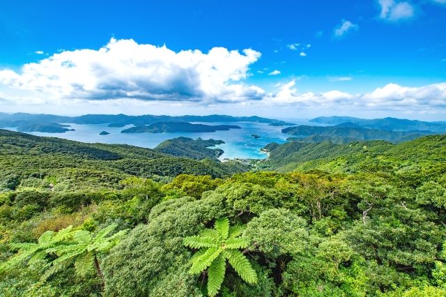 Kagoshima Amami Oshima Tourist Spot View from Kochiyama Observatory