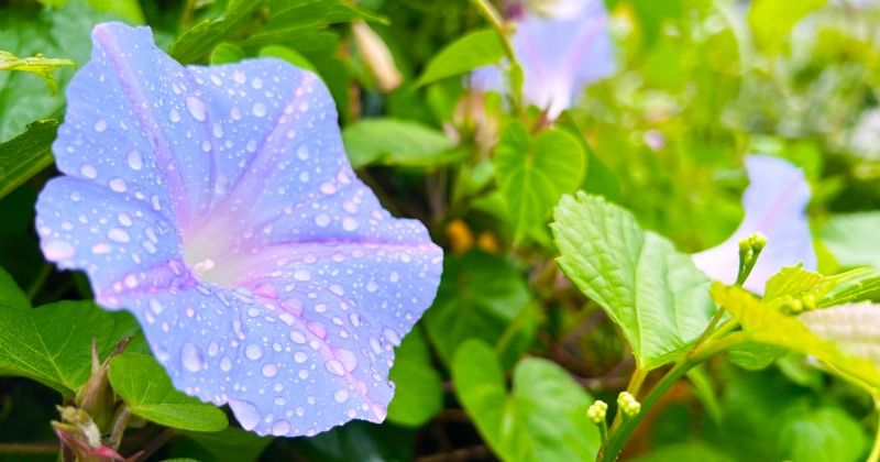 奄美大島で雨の日に楽しめる観光スポット・室内遊び