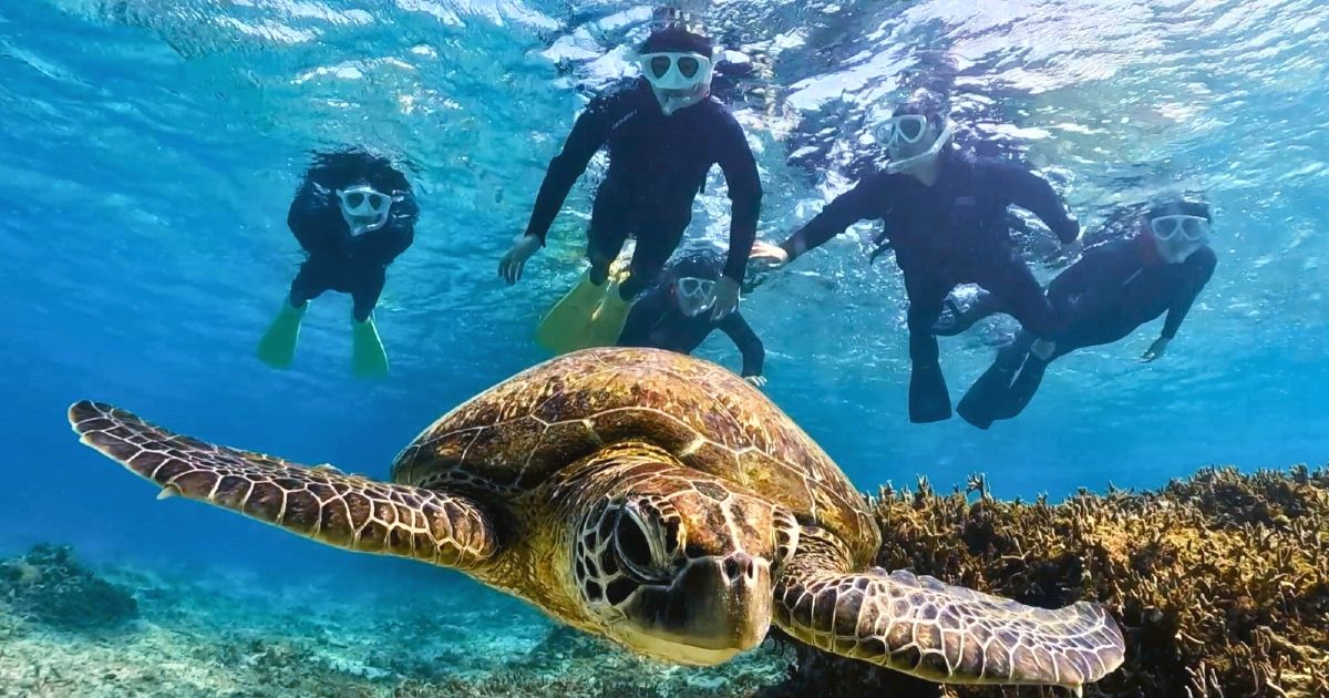 奄美大島シュノーケリングスポット8選｜穴場からおすすめスポットまで地図付きで紹介！