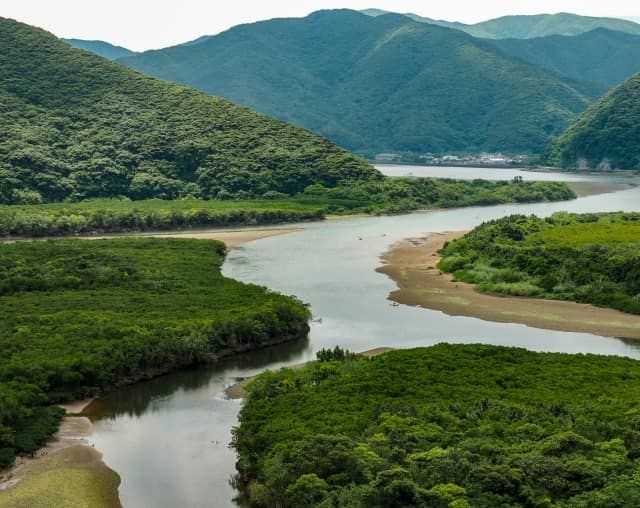 amamiページ 鹿児島県の離島・奄美群島をテーマとしたフリーペーパー『ワンダー