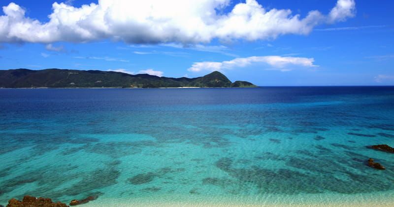 奄美群島国立公園 観光スポット 遊び レジャー特集