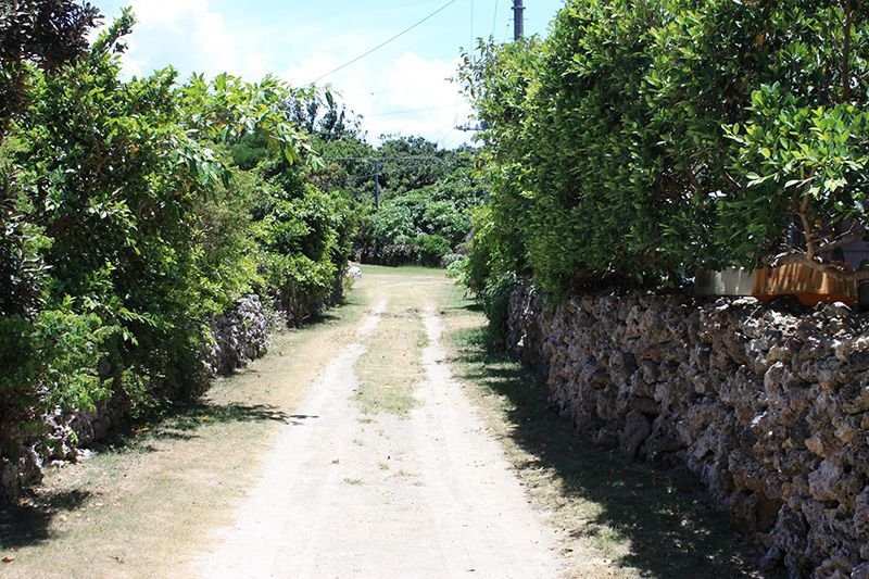 阿拉古蘇庫島（帕納利島）真的很棒嗎？這裡介紹如何前往以及推薦的導覽路線！