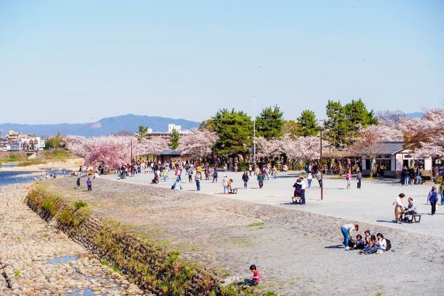 嵐山公園（中之島地區）