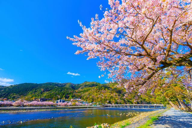 渡月橋（とげつきょう）