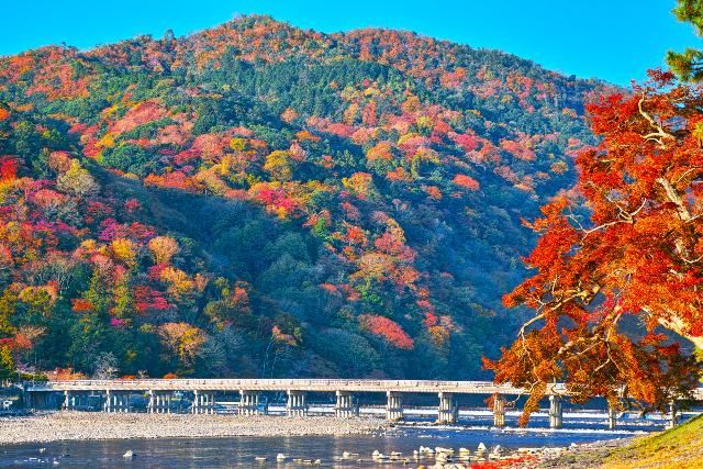 渡月橋（とげつきょう）