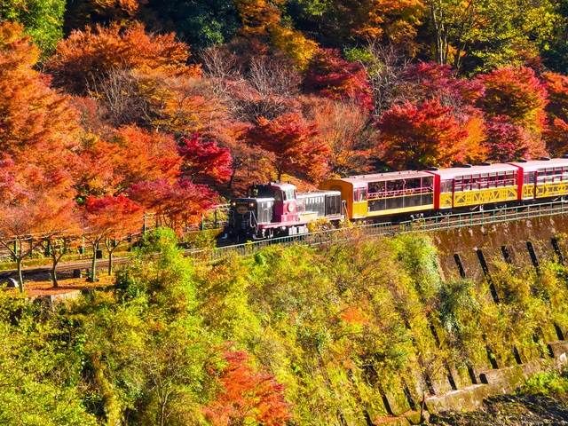 電車（嵯峨野無軌電車）