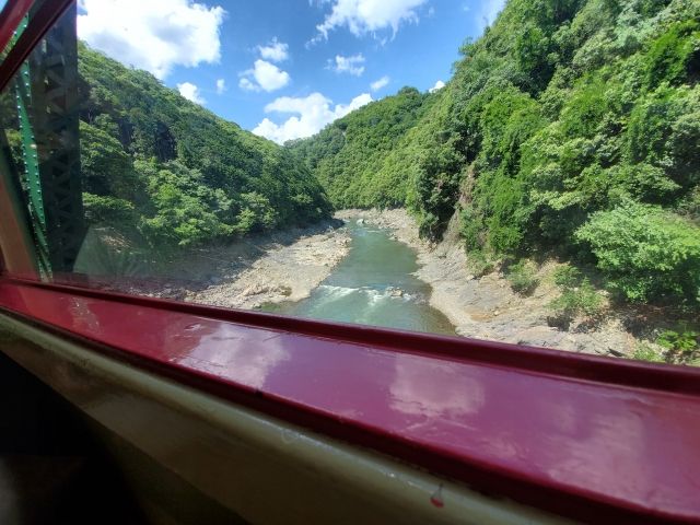 夏の嵐山　トロッコ列車の車窓から見える景色