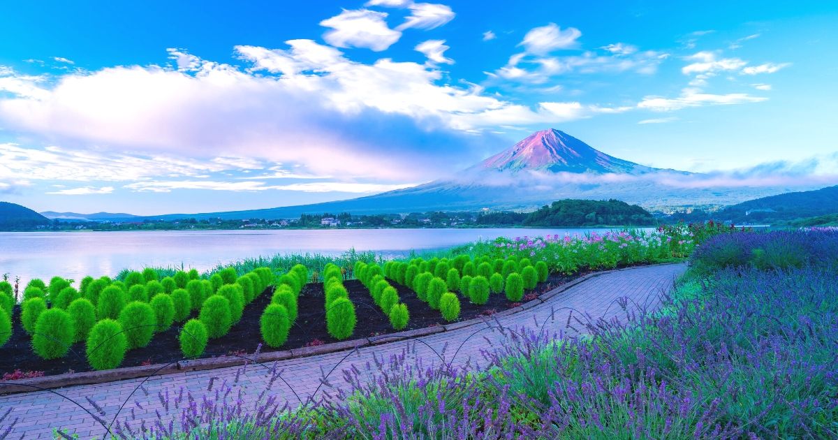 推荐给有孩子的家庭的富士山周边观光照片[静冈/山梨县]