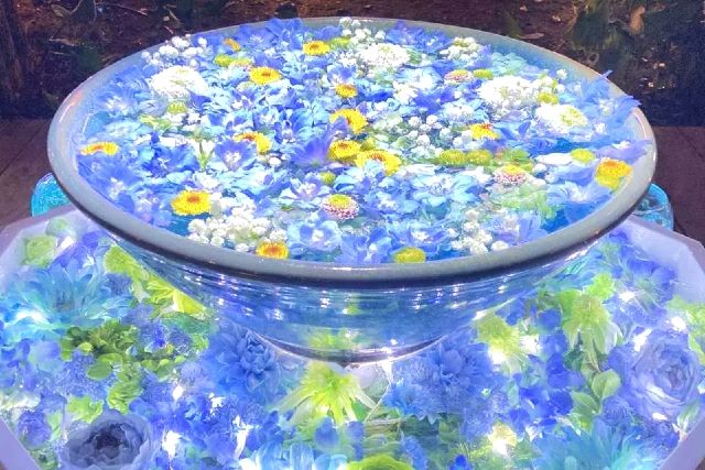 아시카가 플라워 파크 일루미네이션 빛의 꽃 정원 Flower Fantasy 2025-2026 볼거리