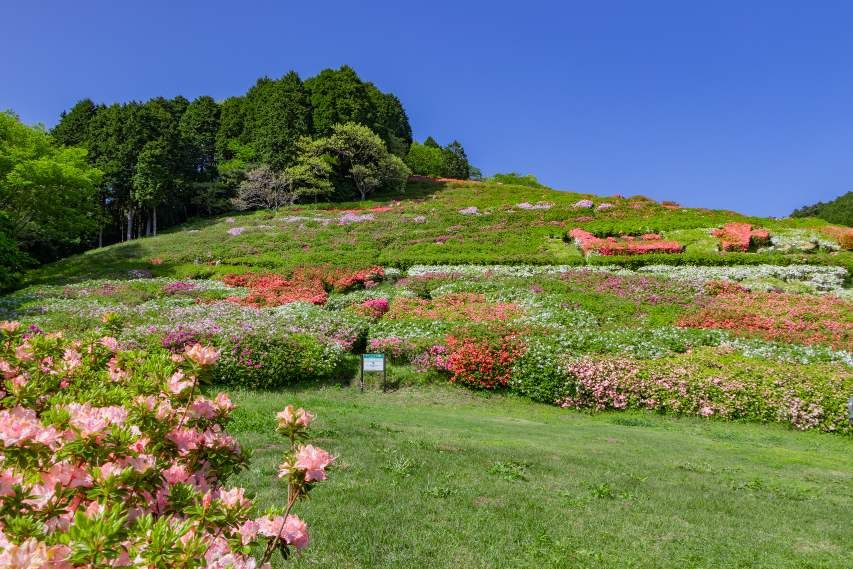 姬之澤公園