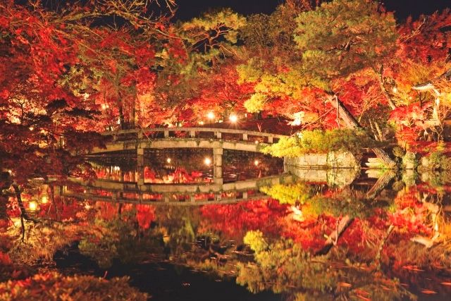Autumn leaves illumination at Eikando