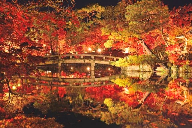 永観堂の紅葉ライトアップ