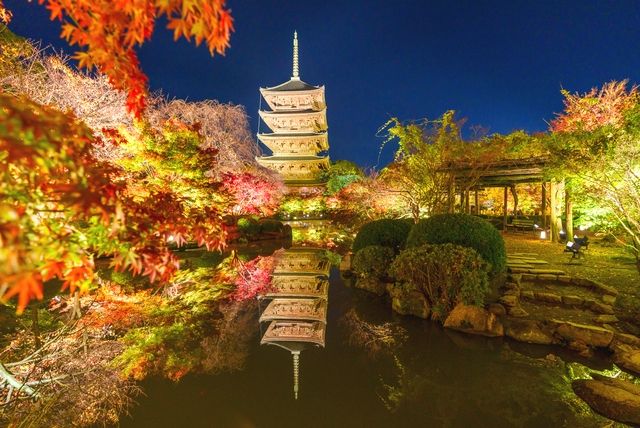 Autumn leaves illumination at Toji Temple