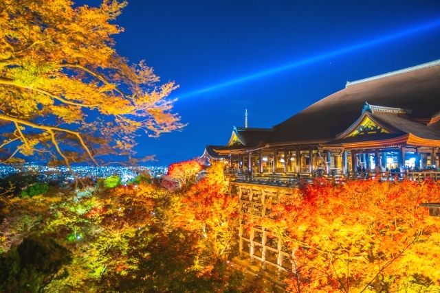 Autumn leaves illumination at Kiyomizu-dera Temple