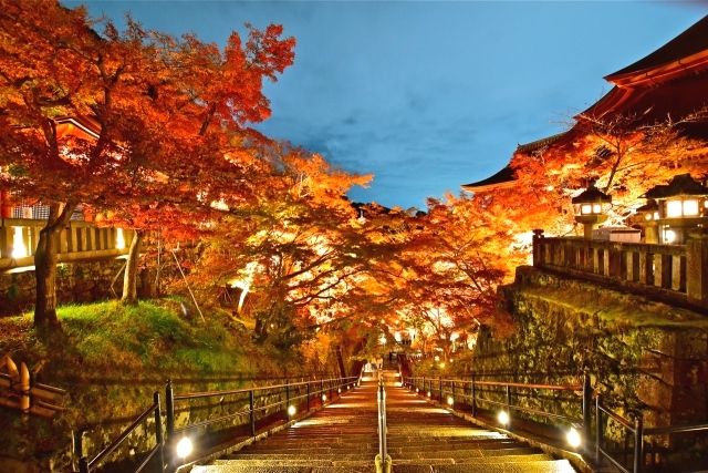 Autumn leaves illumination at Kiyomizu-dera Temple