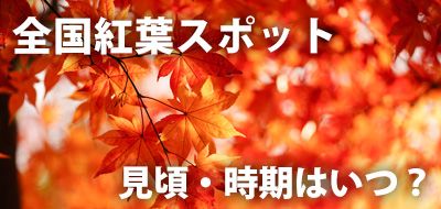 紅葉 2024年の見頃・時期はいつ｜今年は早い or 遅い？