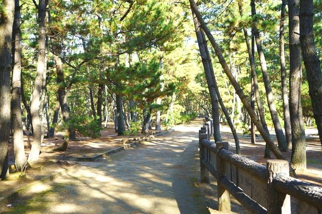 慶野松原のプロポーズ街道