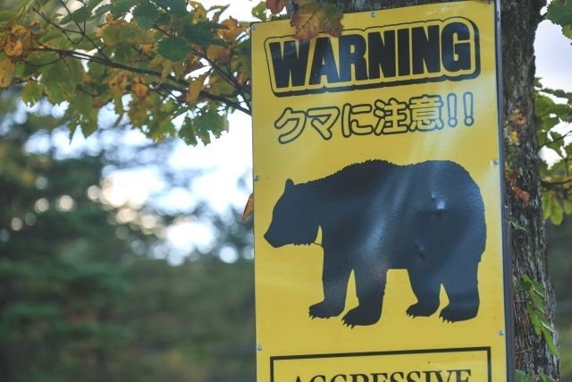 クマ注意の看板