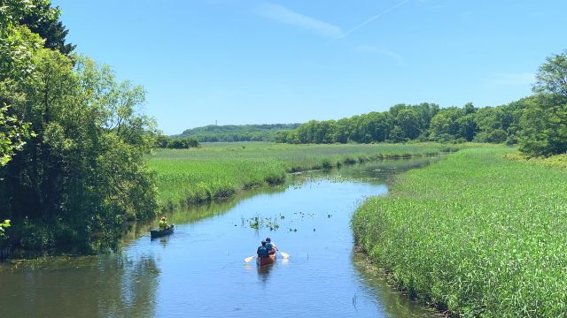 Hokkaido "AMUSE SPORTS" Summer canoeing experience on the Mimi River