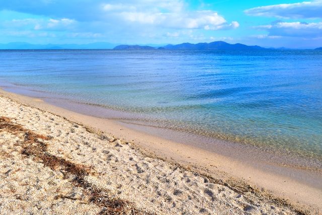 琵琶湖　真野浜水泳場